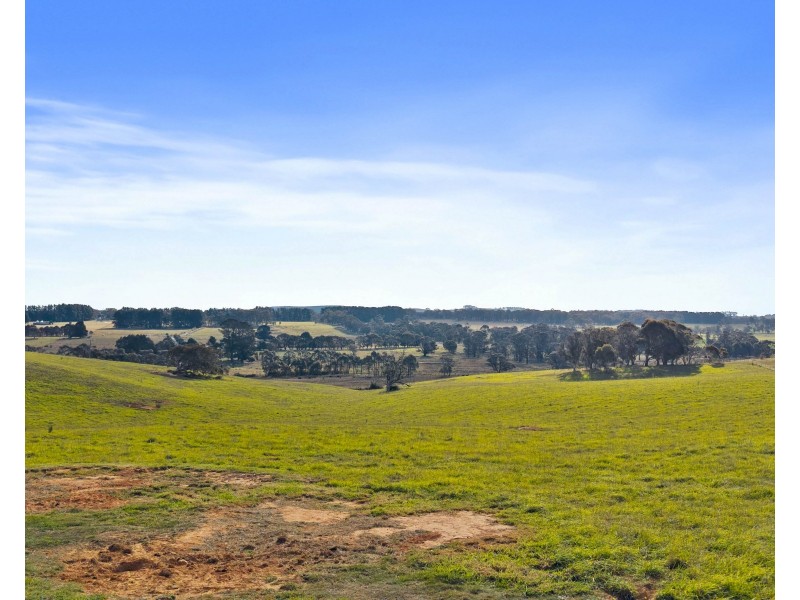 385 Jerula Road, Mozart NSW 2787