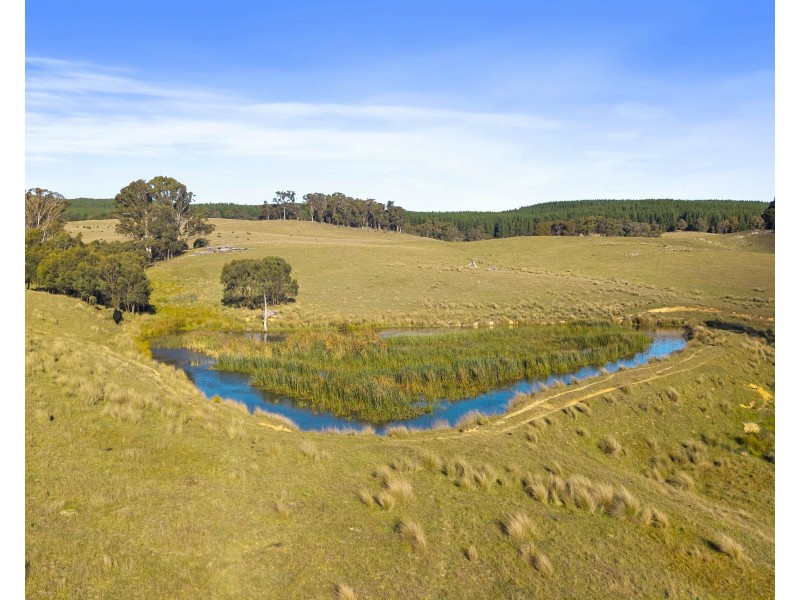 385 Jerula Road, Mozart NSW 2787