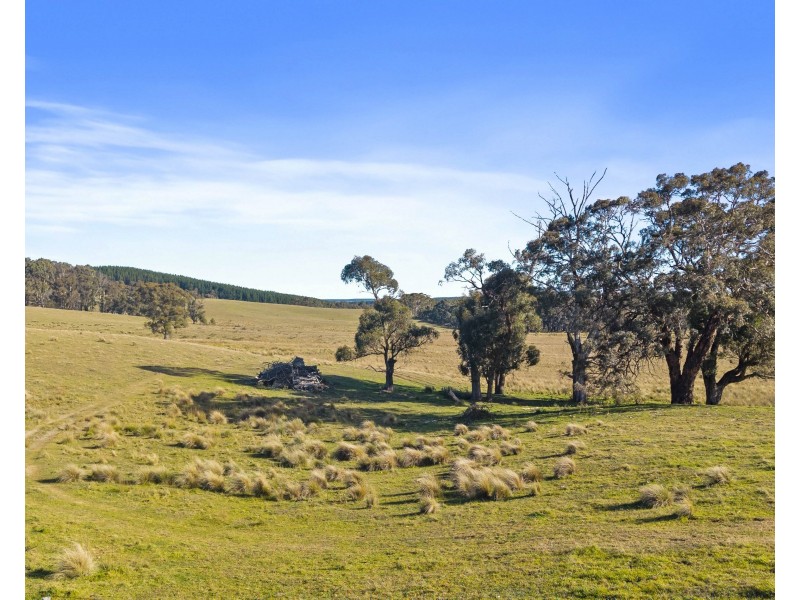 385 Jerula Road, Mozart NSW 2787