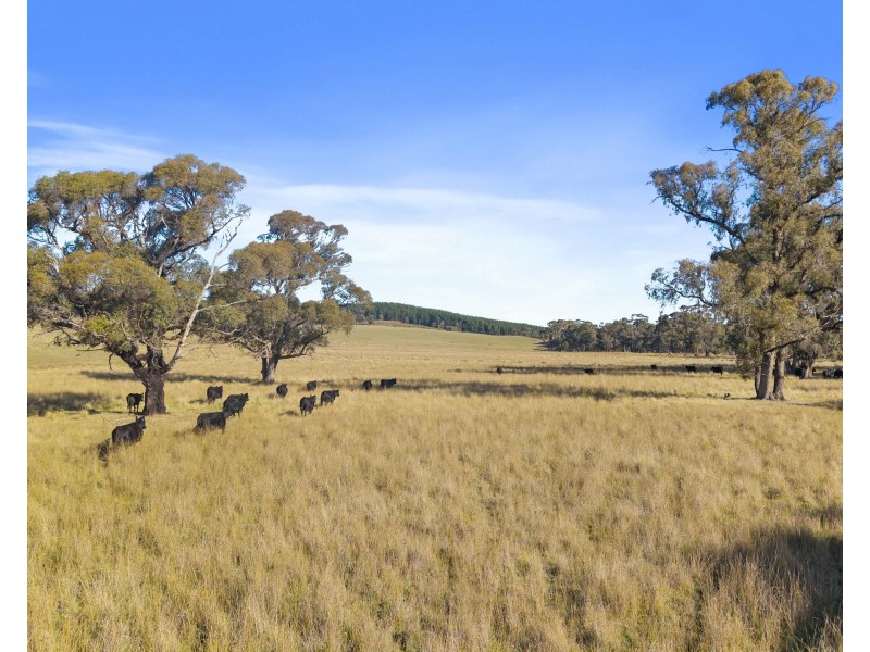 385 Jerula Road, Mozart NSW 2787