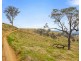 1199 Ganbenang Road, Hartley NSW 2790