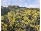 350 Molybdonite Road, Locksley NSW 2795