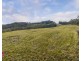 350 Molybdonite Road, Locksley NSW 2795
