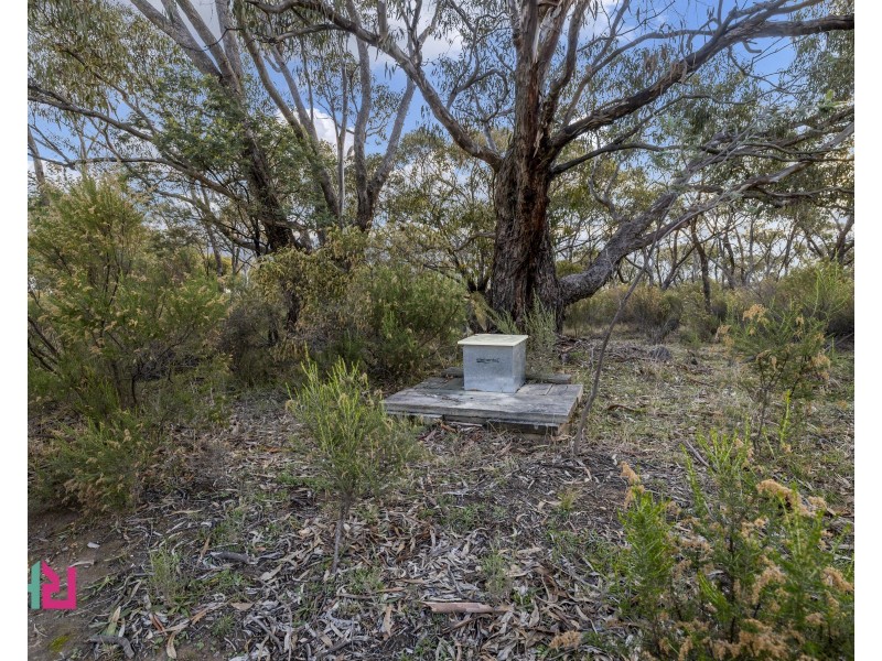 350 Molybdonite Road, Locksley NSW 2795