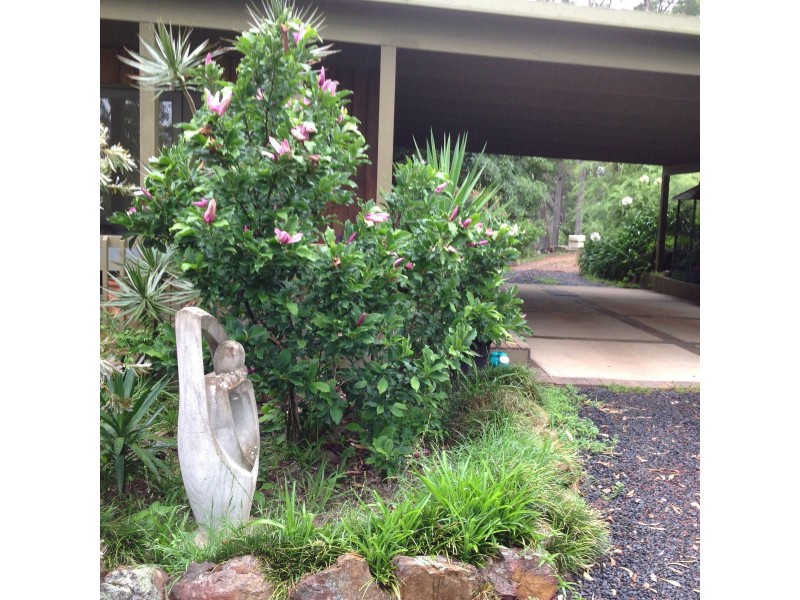 120 Warrigal Range Road, Brogo NSW 2550