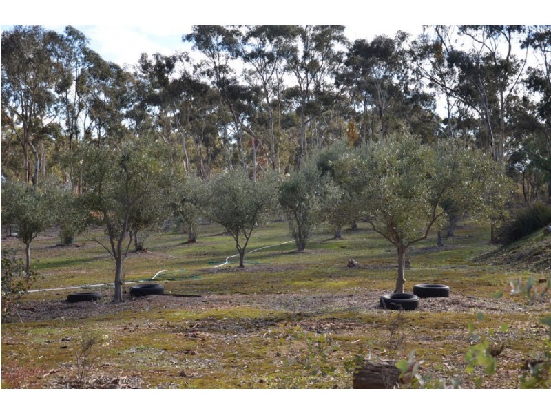 16 Pierce Hill Road, Dunolly VIC 3472