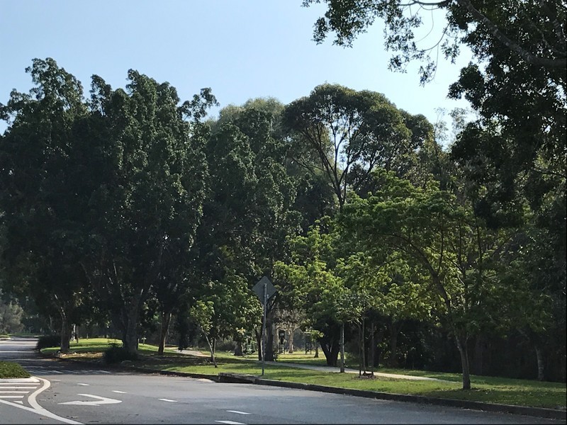 43 Gainsborough Avenue, Mackenzie QLD 4156