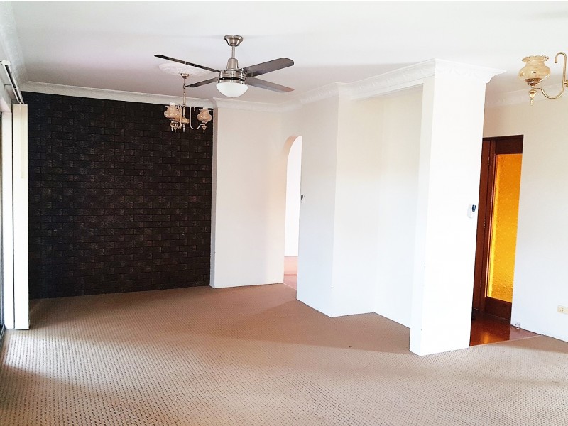 17 Tarcutta Street, Cleveland QLD 4163