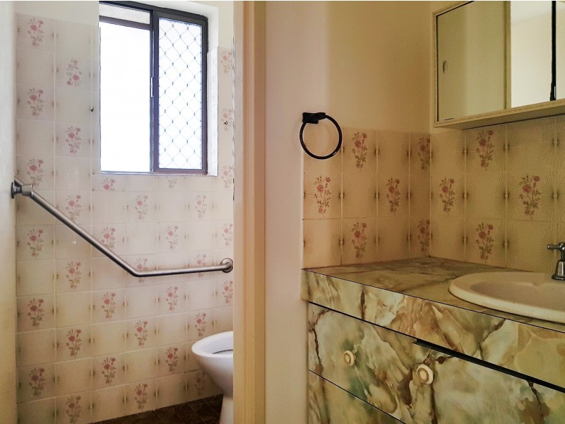 17 Tarcutta Street, Cleveland QLD 4163