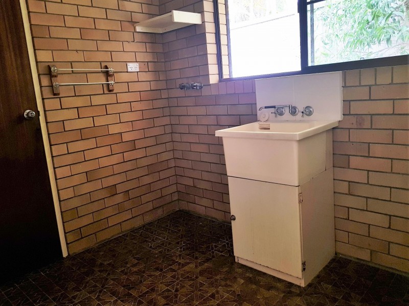 17 Tarcutta Street, Cleveland QLD 4163
