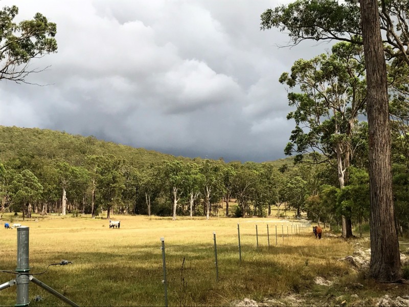 128 Emu Creek Rd, Crawford River NSW 2423