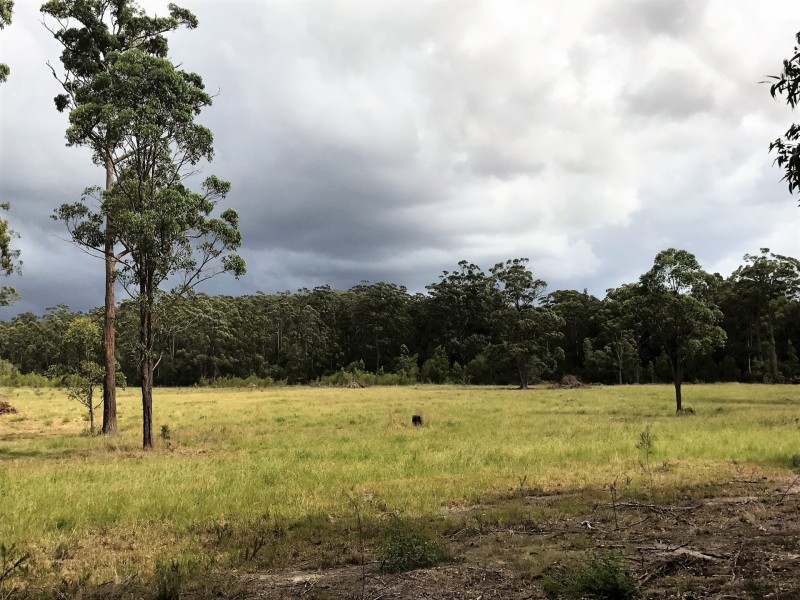 128 Emu Creek Rd, Crawford River NSW 2423
