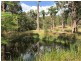 128 Emu Creek Rd, Crawford River NSW 2423