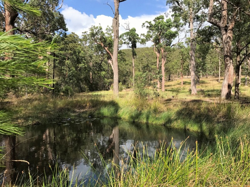 128 Emu Creek Rd, Crawford River NSW 2423