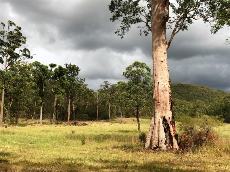 128 Emu Creek Rd, Crawford River NSW 2423