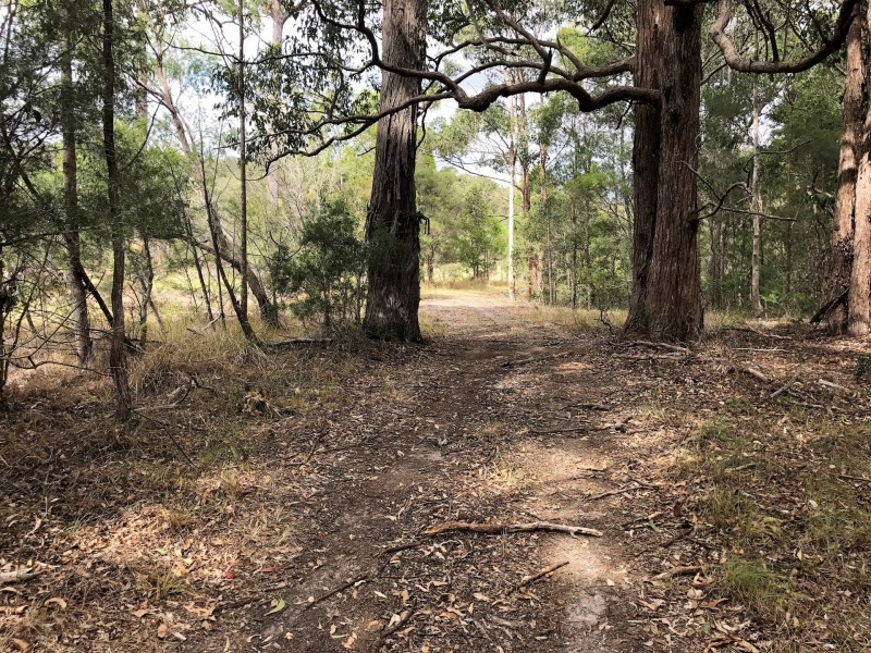 128 Emu Creek Rd, Crawford River NSW 2423