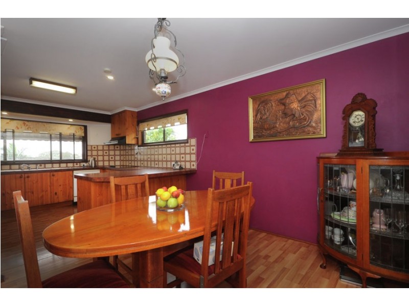 28 Alkira Street, Tugun QLD 4224