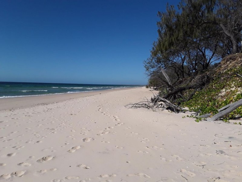 133 Davenport, Coonarr QLD 4670