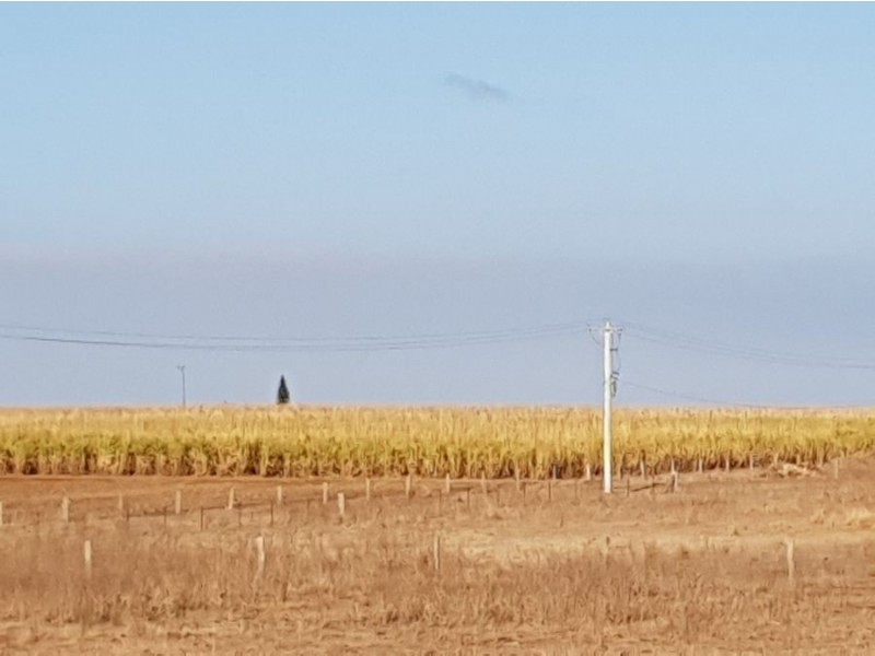 lot 2 Elliott Heads Road, Woongarra QLD 4670