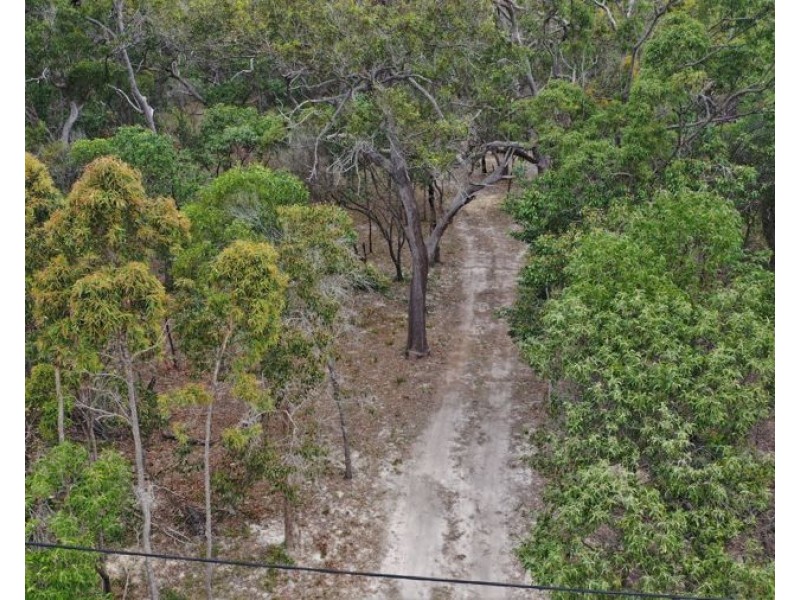 14 Fern Tree Drive, Coonarr QLD 4670