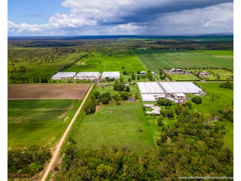 119 Fallons Rocks road, Calavos QLD 4670