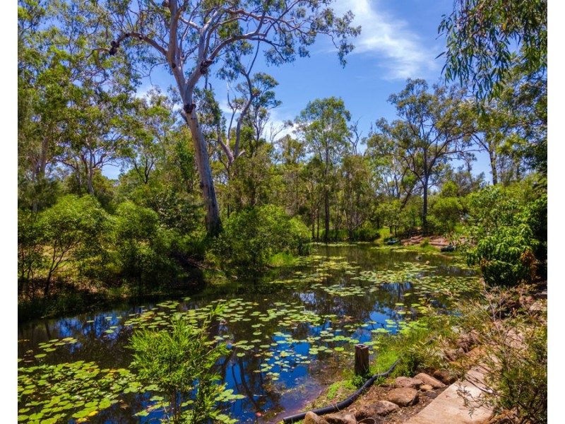 1452 Buxton Road, Buxton QLD 4660