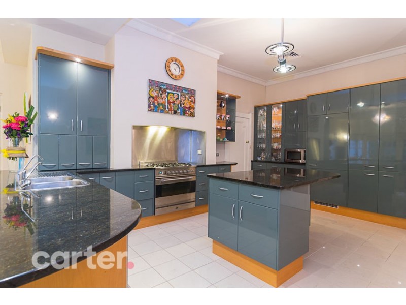 20 Burke Street, Tusmore SA 5065