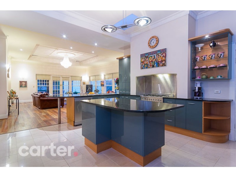 20 Burke Street, Tusmore SA 5065