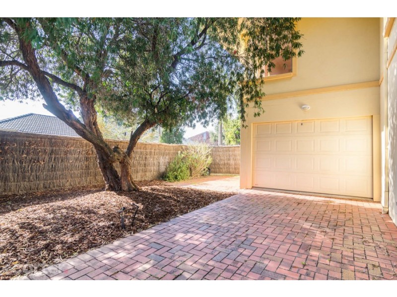 3/25 Leicester St, Parkside SA 5063