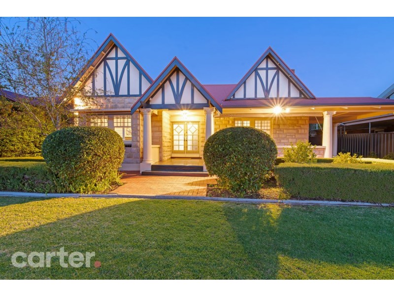 20 Burke Street, Tusmore SA 5065