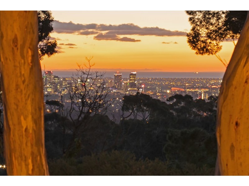 5 Waratah Way, Stonyfell SA 5066