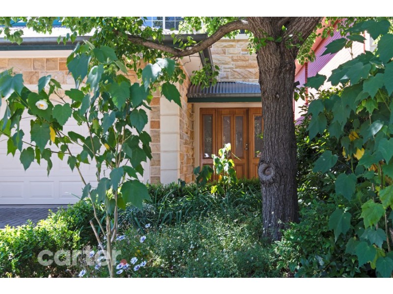 7 Burwash Road, Marryatville SA 5068