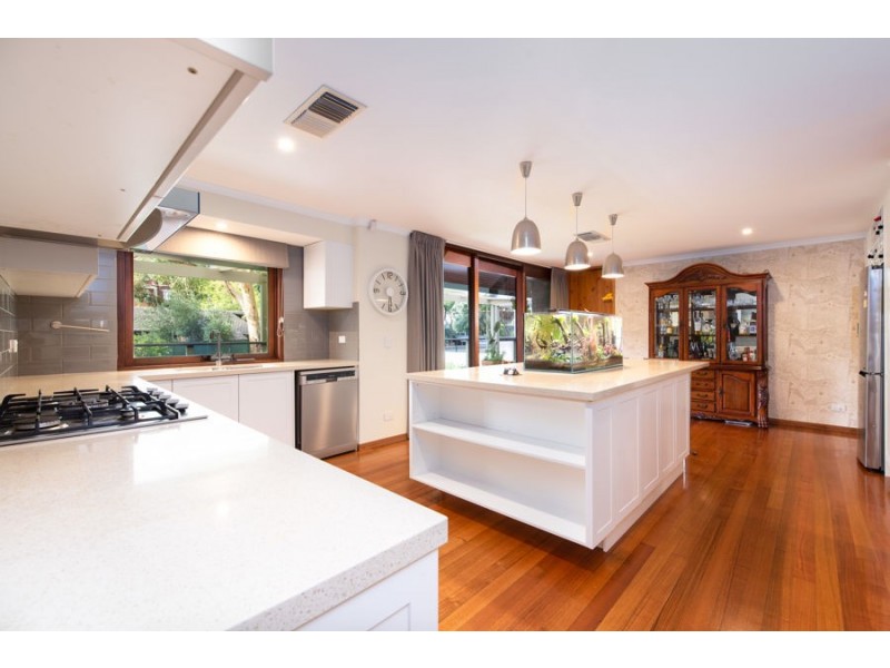 11 Kurrajong Ave, Stonyfell SA 5066