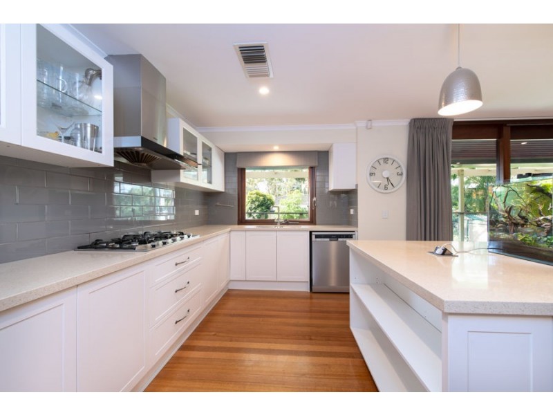 11 Kurrajong Ave, Stonyfell SA 5066