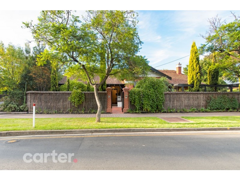 300 Young Street, Wayville SA 5034