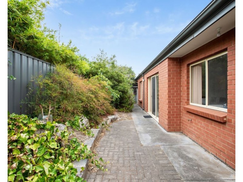 12C Broughton Street, Glenside SA 5065