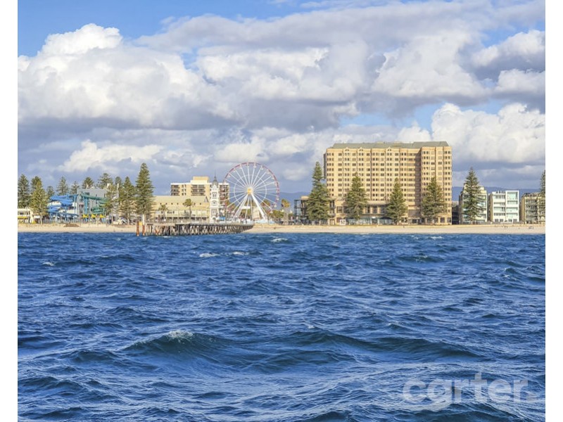 6/17 MacFarlane St, Glenelg North SA 5045