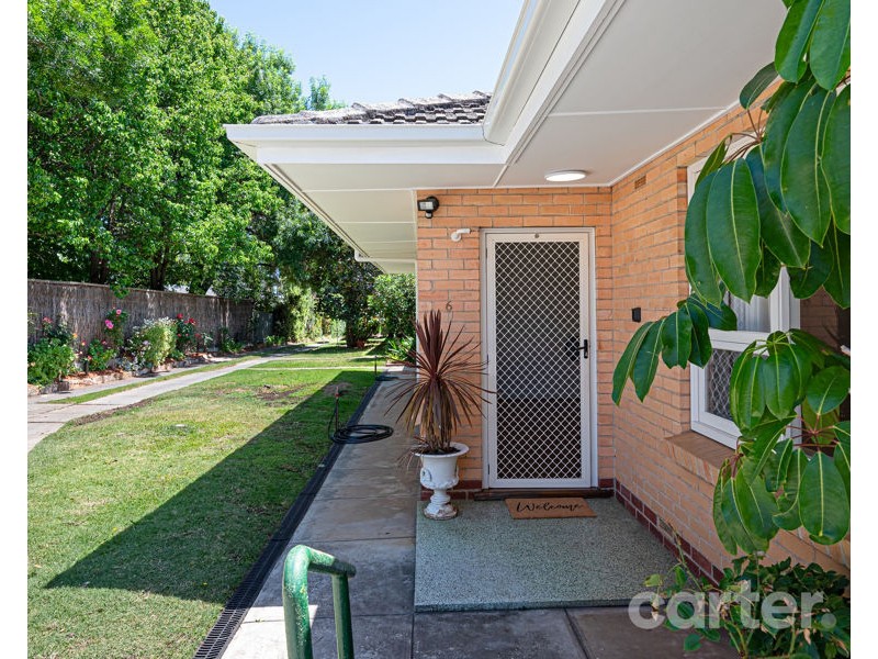 6/394 Glynburn Rd, Kensington Gardens SA 5068