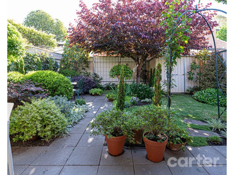 59 Elizabeth Street, Norwood SA 5067