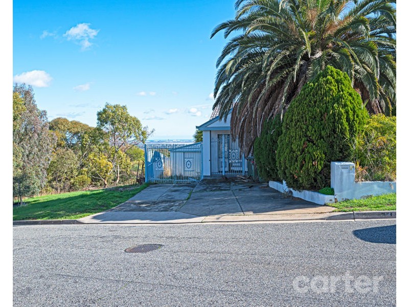 14 Conyngham Ave, Modbury Heights SA 5092