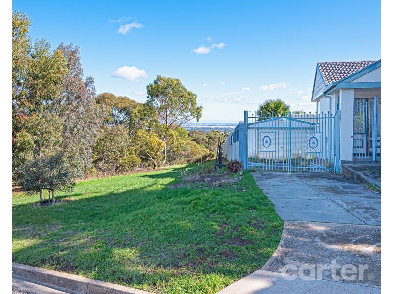 14 Conyngham Ave, Modbury Heights SA 5092