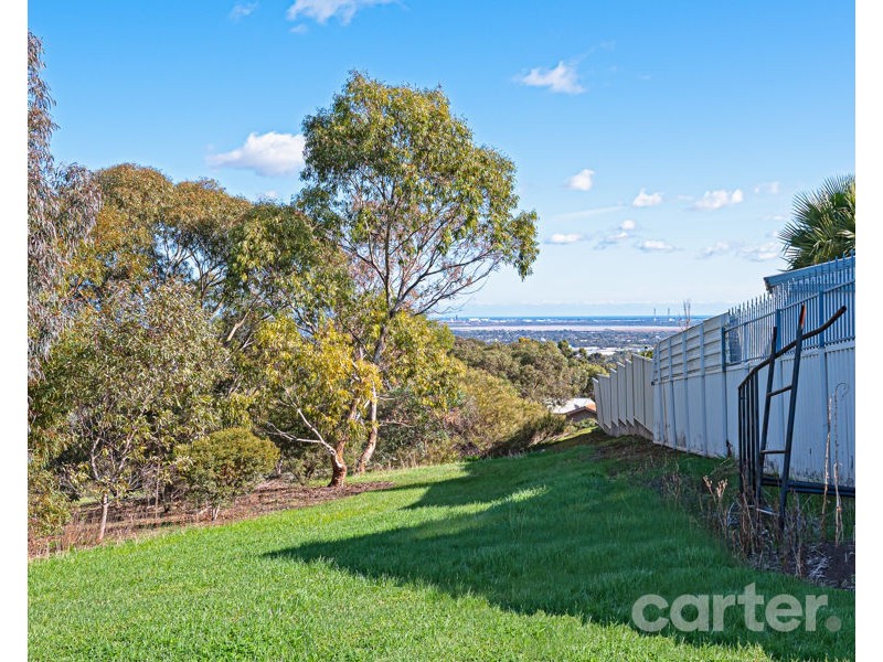 14 Conyngham Ave, Modbury Heights SA 5092