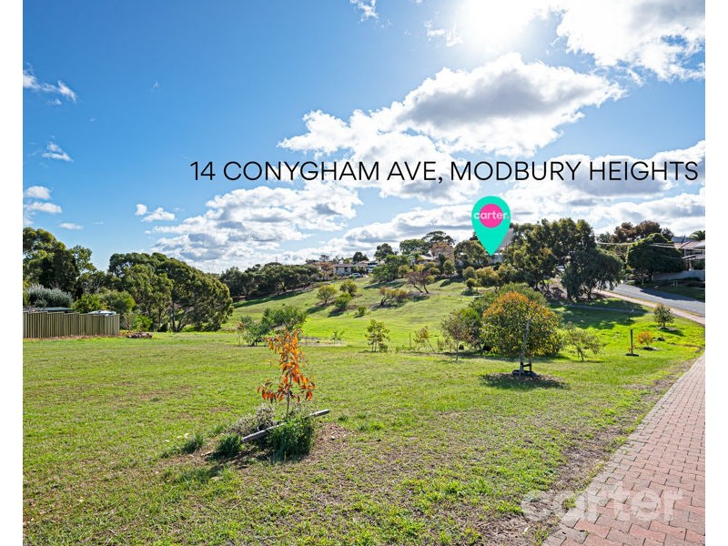14 Conyngham Ave, Modbury Heights SA 5092