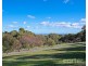 14 Conyngham Ave, Modbury Heights SA 5092