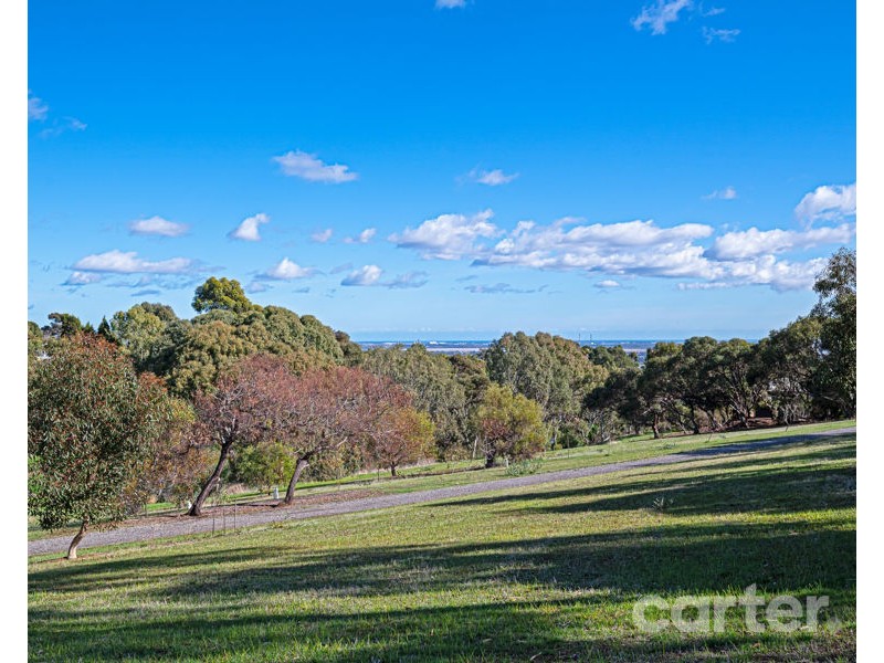 14 Conyngham Ave, Modbury Heights SA 5092