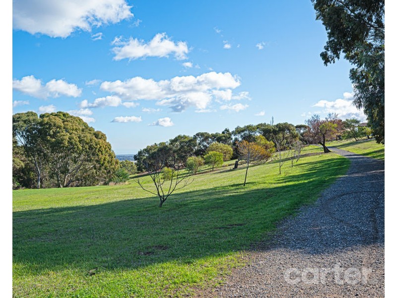 14 Conyngham Ave, Modbury Heights SA 5092
