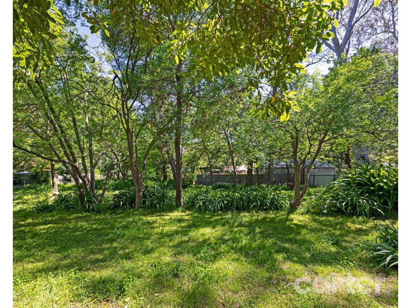 25 Batley Ave, Hawthorndene SA 5051