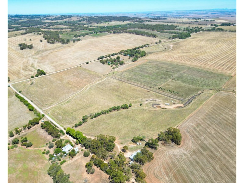 235 Basham Road, Stanley Flat SA 5453