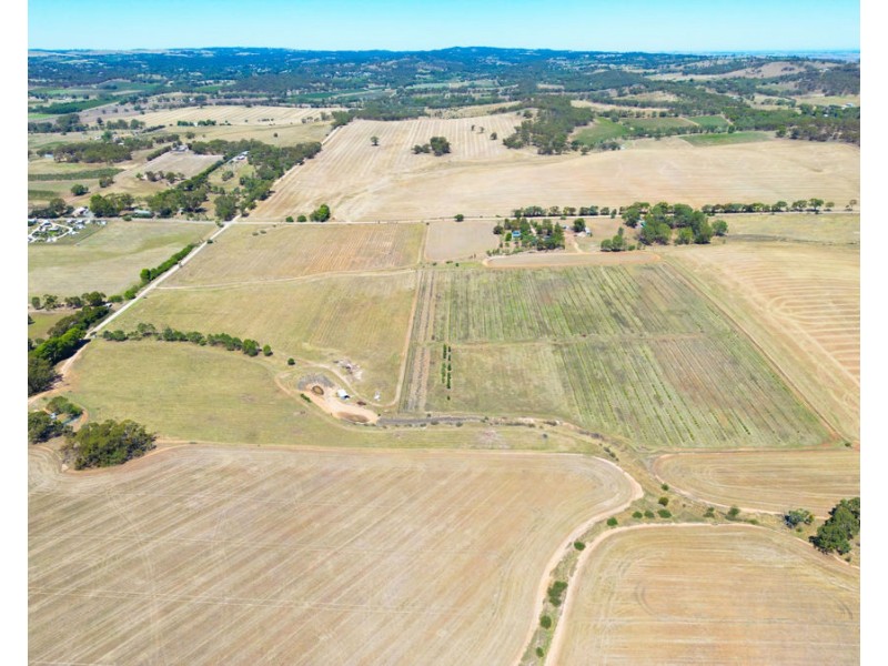 235 Basham Road, Stanley Flat SA 5453