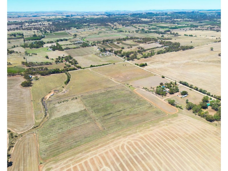 235 Basham Road, Stanley Flat SA 5453